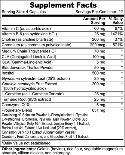 10X Fat Shred with MCT